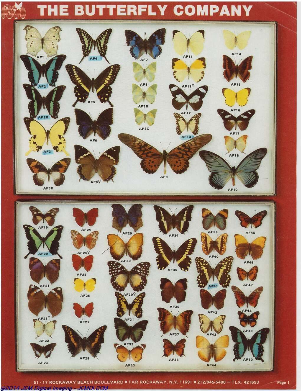 The Butterfly Company (NY) 4 Page catalog (1980-1981)